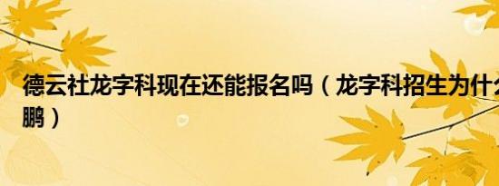 德云社龙字科现在还能报名吗（龙字科招生为什么没有岳云鹏）