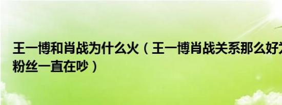 王一博和肖战为什么火（王一博肖战关系那么好为什么两家粉丝一直在吵）