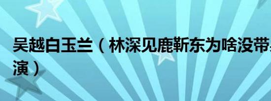 吴越白玉兰（林深见鹿靳东为啥没带吴越一起演）