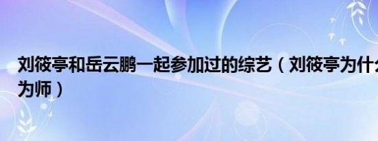 刘筱亭和岳云鹏一起参加过的综艺（刘筱亭为什么拜岳云鹏为师）