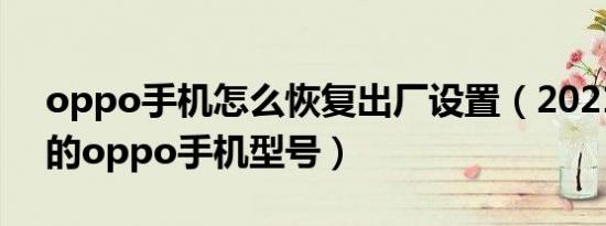 oppo手机怎么恢复出厂设置（2021年出厂的oppo手机型号）