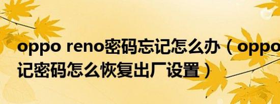 oppo reno密码忘记怎么办（oppo reno忘记密码怎么恢复出厂设置）