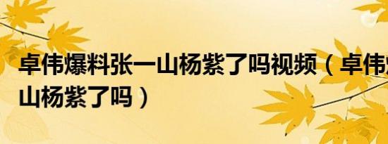 卓伟爆料张一山杨紫了吗视频（卓伟爆料张一山杨紫了吗）