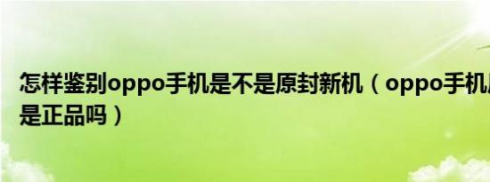 怎样鉴别oppo手机是不是原封新机（oppo手机原封的一定是正品吗）