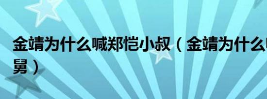 金靖为什么喊郑恺小叔（金靖为什么喊郑恺小舅）