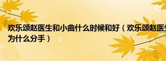 欢乐颂赵医生和小曲什么时候和好（欢乐颂赵医生和曲潇肖为什么分手）