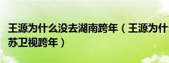 王源为什么没去湖南跨年（王源为什么参加江苏卫视跨年）