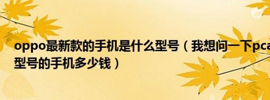 oppo最新款的手机是什么型号（我想问一下pcamoo这个型号的手机多少钱）