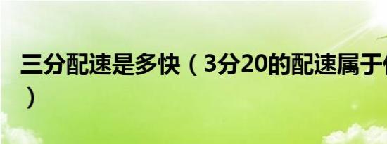 三分配速是多快（3分20的配速属于什么水平）