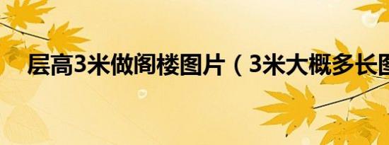 层高3米做阁楼图片（3米大概多长图片）