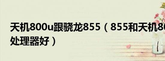 天机800u跟骁龙855（855和天机800u哪个处理器好）