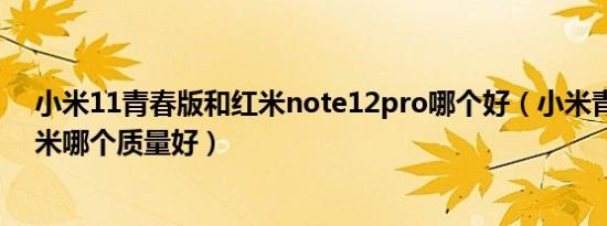 小米11青春版和红米note12pro哪个好（小米青春版和红米哪个质量好）