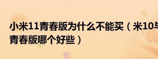 小米11青春版为什么不能买（米10与小米11青春版哪个好些）