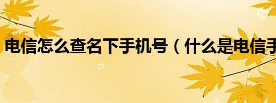 电信怎么查名下手机号（什么是电信手机号）