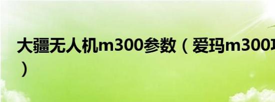 大疆无人机m300参数（爱玛m300功能介绍）