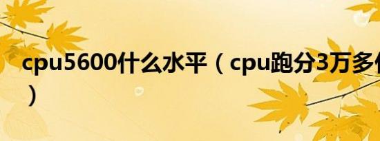 cpu5600什么水平（cpu跑分3万多什么水平）