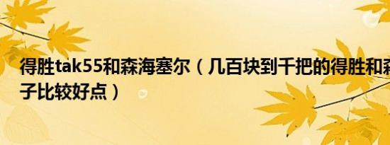 得胜tak55和森海塞尔（几百块到千把的得胜和森海那个牌子比较好点）