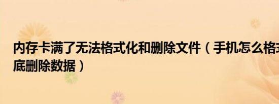 内存卡满了无法格式化和删除文件（手机怎么格式化才能彻底删除数据）