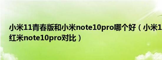 小米11青春版和小米note10pro哪个好（小米11青春版和红米note10pro对比）