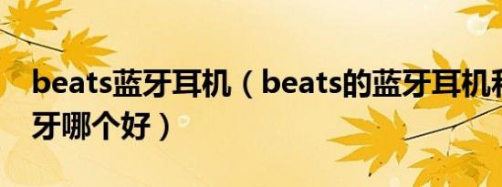 beats蓝牙耳机（beats的蓝牙耳机和得胜蓝牙哪个好）