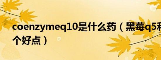 coenzymeq10是什么药（黑莓q5和q10哪个好点）