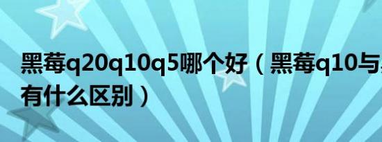 黑莓q20q10q5哪个好（黑莓q10与黑莓q20有什么区别）