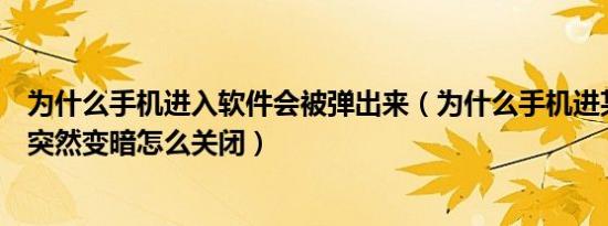 为什么手机进入软件会被弹出来（为什么手机进某个软件会突然变暗怎么关闭）