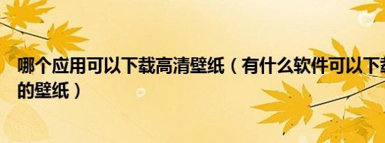 哪个应用可以下载高清壁纸（有什么软件可以下载一些高清的壁纸）