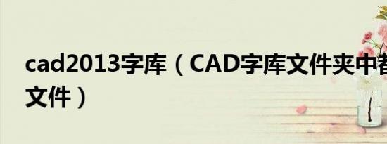 cad2013字库（CAD字库文件夹中都有什么文件）