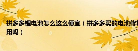 拼多多锂电池怎么这么便宜（拼多多买的电池修复充电器有用吗）