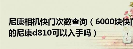 尼康相机快门次数查询（6000块快门20000的尼康d810可以入手吗）