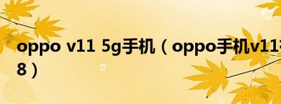 oppo v11 5g手机（oppo手机v11有8G 128）