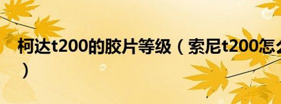 柯达t200的胶片等级（索尼t200怎么看照片）