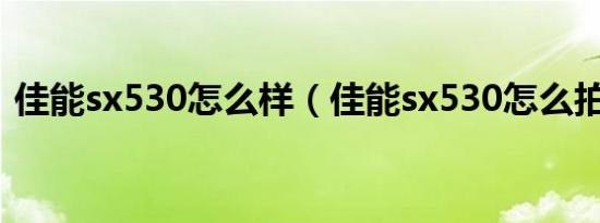 佳能sx530怎么样（佳能sx530怎么拍夜景）