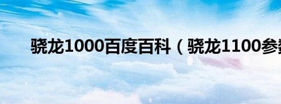 骁龙1000百度百科（骁龙1100参数）