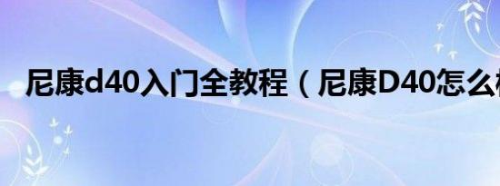 尼康d40入门全教程（尼康D40怎么样啊）