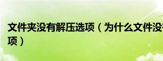 文件夹没有解压选项（为什么文件没有解压选项）