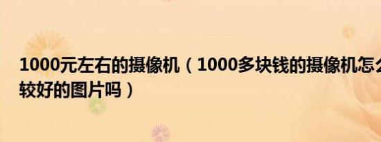 1000元左右的摄像机（1000多块钱的摄像机怎么样能拍出较好的图片吗）