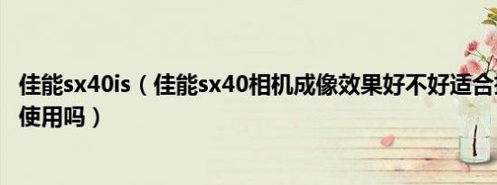 佳能sx40is（佳能sx40相机成像效果好不好适合摄影爱好者使用吗）