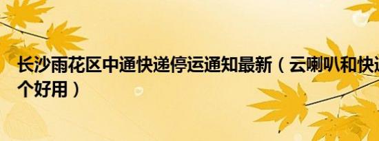 长沙雨花区中通快递停运通知最新（云喇叭和快递通知宝哪个好用）