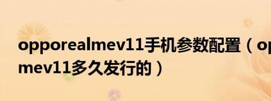 opporealmev11手机参数配置（opporealmev11多久发行的）