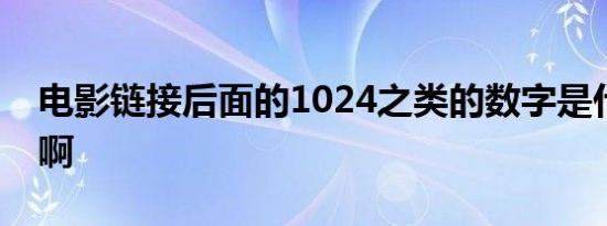 电影链接后面的1024之类的数字是什么意思啊