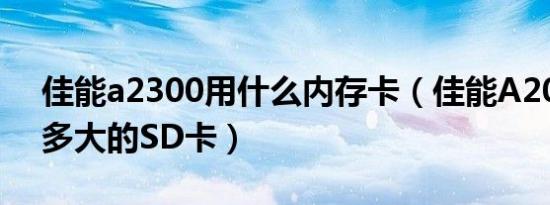 佳能a2300用什么内存卡（佳能A2000IS用多大的SD卡）