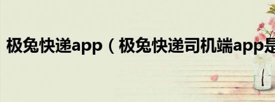 极兔快递app（极兔快递司机端app是什么）