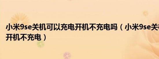 小米9se关机可以充电开机不充电吗（小米9se关机可以充电开机不充电）