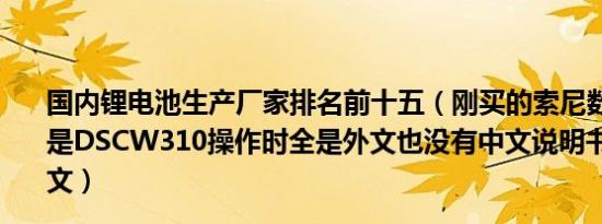 国内锂电池生产厂家排名前十五（刚买的索尼数码相机型号是DSCW310操作时全是外文也没有中文说明书如何设置中文）