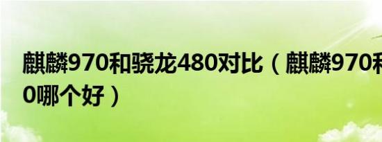 麒麟970和骁龙480对比（麒麟970和骁龙450哪个好）