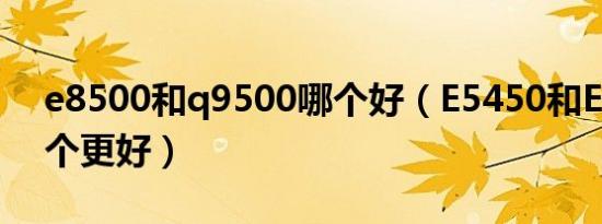 e8500和q9500哪个好（E5450和E8500那个更好）