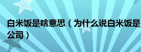 白米饭是啥意思（为什么说白米饭是王嘉尔的公司）