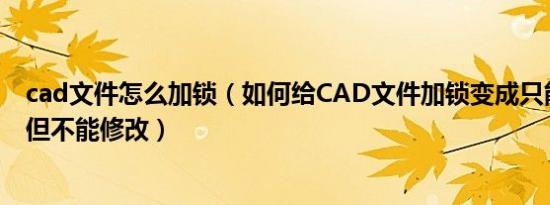 cad文件怎么加锁（如何给CAD文件加锁变成只能看能打印但不能修改）